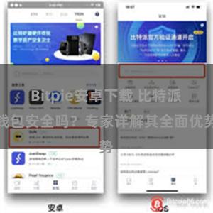 Bitpie安卓下载 比特派钱包安全吗？专家详解其全面优势