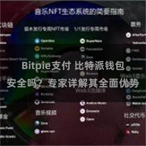 Bitpie支付 比特派钱包安全吗？专家详解其全面优势