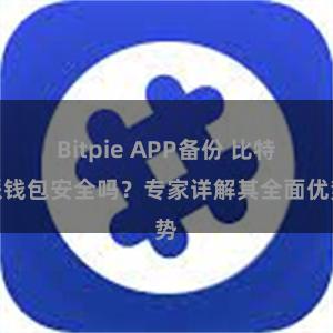 Bitpie APP备份 比特派钱包安全吗？专家详解其全面优势