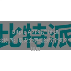 Bitpie APP客户端 选择比特派：最安全便捷的数字资产钱包