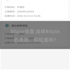 Bitpie恢复 选择Bitpie的原因，你知道吗？