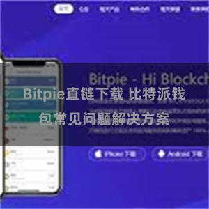 Bitpie直链下载 比特派钱包常见问题解决方案