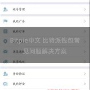 Bitpie中文 比特派钱包常见问题解决方案