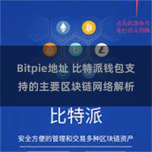 Bitpie地址 比特派钱包支持的主要区块链网络解析