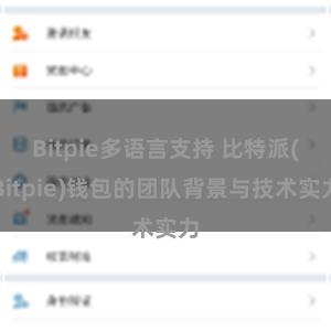 Bitpie多语言支持 比特派(Bitpie)钱包的团队背景与技术实力