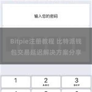 Bitpie注册教程 比特派钱包交易延迟解决方案分享