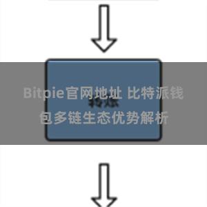Bitpie官网地址 比特派钱包多链生态优势解析
