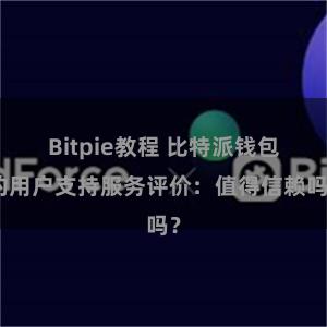 Bitpie教程 比特派钱包的用户支持服务评价：值得信赖吗？