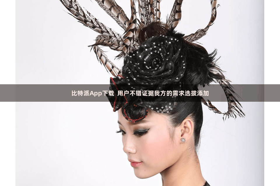 比特派App下载  用户不错证据我方的需求选拔添加